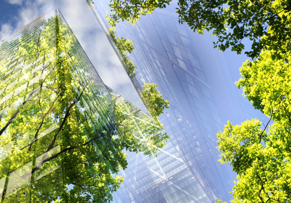 Sustentabilidade e inovação no setor imobiliário